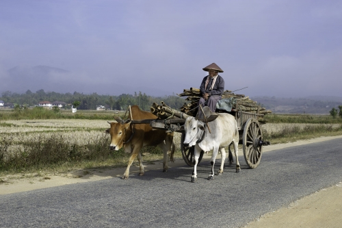 Chiang Saen Thailand